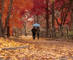 ¿Qué le pasa al cuerpo cuando empieza el otoño? Descubre cada efecto