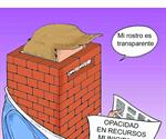 Opacidadv