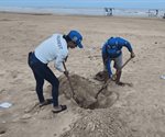 Alerta en Playa Bagdad por detección de gripe aviar en gaviota