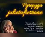 La luciérnaga que inmortaliza a Julieta Fierro en la ciencia mexicana