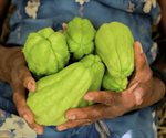 Cómo se hace la ensalada de chayote