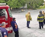 Adulto mayor es atacado por abejas; queda inconsciente y es llevado al hospital