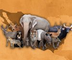 Día Mundial de los Animales: especies más emblemáticas de México