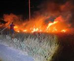 Arde pastizal