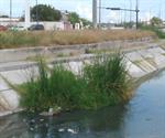 Cubren maleza y basura canales pluviales