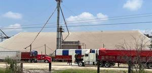 Importación para negocio del sorgo