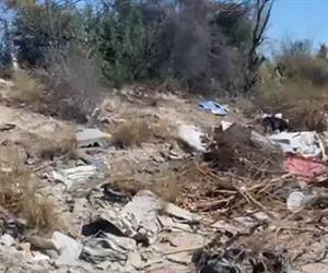 Familias en riesgo por basurero en Reynosa