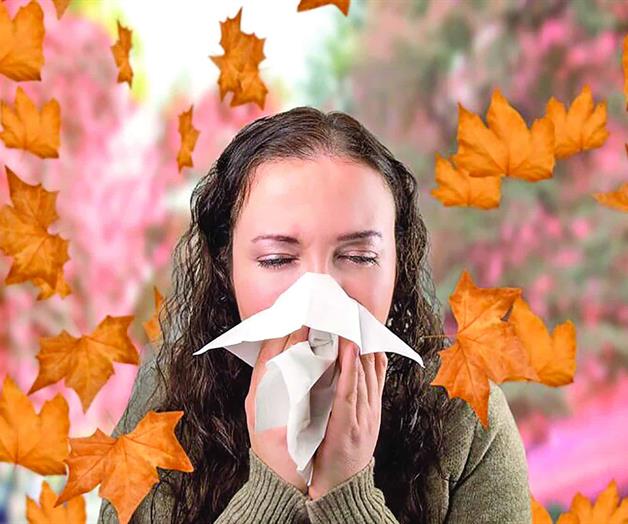 “Alergias otoñales: cuando el aire cambia, la salud también” “Alergias otoñales: cuando el aire cambia, la salud también”