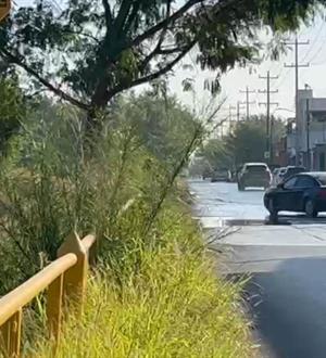 Derecho de vía de Pemex es ya un nido de alimañas