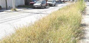 Envuelve el monte calles y avenidas en Cumbres