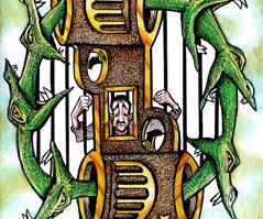 Combate a redes criminales