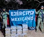 Aseguran 86 kilos de marihuana y un vehículo en Matamoros