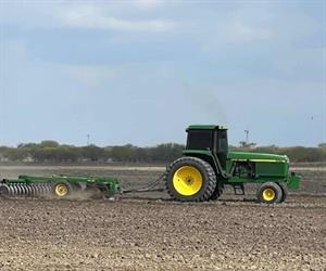 Falta de apoyos al campo provoca pérdida de 20 mil hectáreas de sorgo