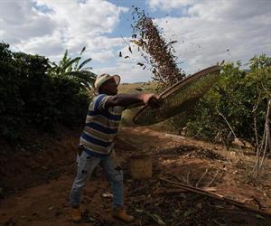 Brasil califica marcha atrás a aranceles de EU