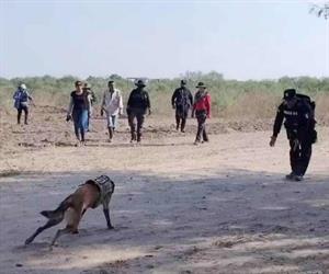 Finaliza jornada de búsqueda de restos de desaparecidos