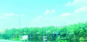 Alarmante deterioro de valla de canal Anzaldúas