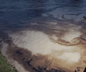 Derrame de hidrocarburo afecta al río Cazones, en Veracruz