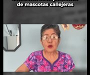 Combaten sobrepoblación de mascotas callejeras