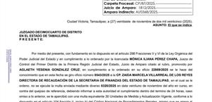 Detiene amparo multa de 1.3 mdp a abogada