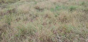 Retoman la búsqueda de los desaparecidos