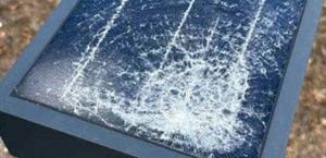 Caen 2 menores por presunto vandalismo