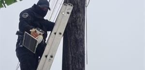 Retiran cámara irregular en Matamoros; estaba en un poste