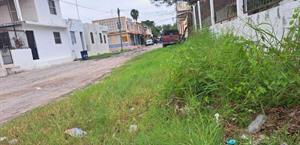 Calle Independencia, entre maleza y olvido