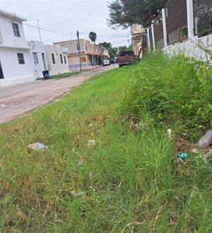 Calle Independencia, entre maleza y olvido
