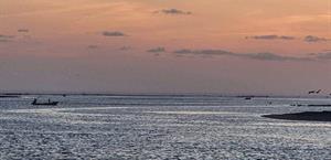 Redoblan vigilancia en la  laguna de San Fernando