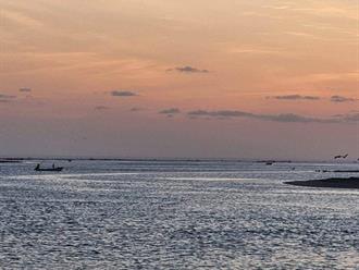 Redoblan vigilancia en la  laguna de San Fernando