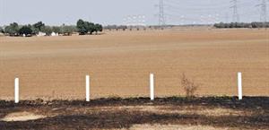 Esperan campesinos más lluvias para poder sembrar