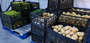 Negocios se preparan para temporada de alta demanda