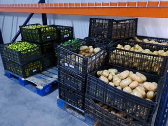 Negocios se preparan para temporada de alta demanda