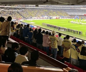 Mundial 2026: Avanza en Senado acuerdo para garantizar seguridad