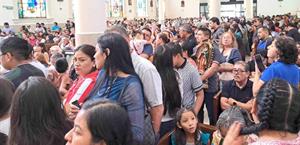 Honra multitud a la virgen Guadalupana