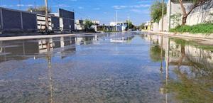 Padecen un mes entre aguas negras pestilentes