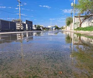 Padecen un mes entre aguas negras pestilentes