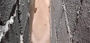 Rescatan a perro que quedó atrapado tras huir de pirotecnia en Río Bravo