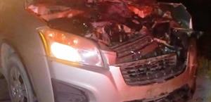 Conductor choca contra becerro en la Matamoros-Reynosa