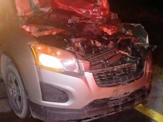 Conductor choca contra becerro en la Matamoros-Reynosa