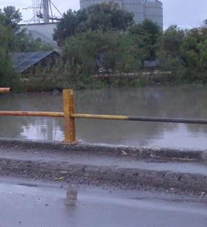 Continúan cafres dañando puente