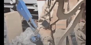 Capturan víbora de cascabel dentro de maquiladora