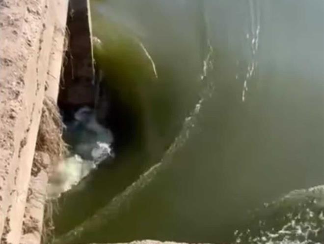 Colapsa contención en el Anzaldúas; amenaza dejar sin agua en Río Bravo