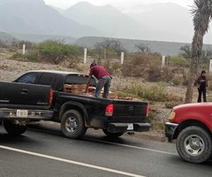 Hacen rapiña tras volcadura de tráiler cargado con fresas; iba para Reynosa