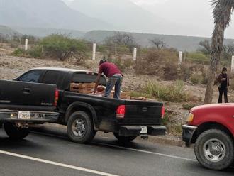 Hacen rapiña tras volcadura de tráiler cargado con fresas; iba para Reynosa
