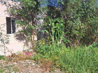 Reynosa líder en Estado en casas abandonadas