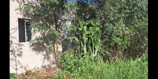 Reynosa líder en casas abandonadas en Tamaulipas