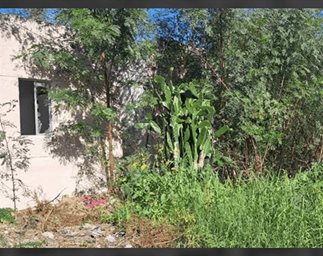 Reynosa líder en casas abandonadas en Tamaulipas