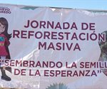 Finaliza campaña de reforestación en Nuevo Laredo