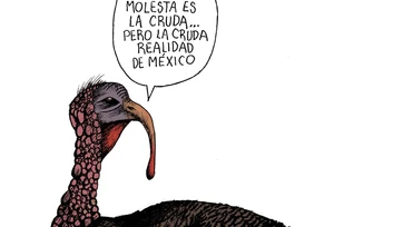 Economía en gris en año preelectoral